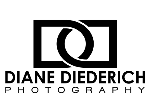 Diane Diederich - Website
